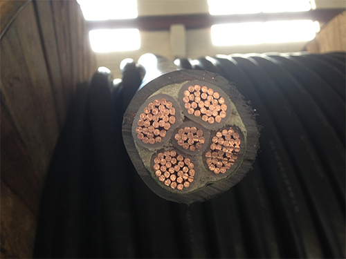 低煙無(wú)鹵阻燃電纜 低煙無(wú)鹵阻燃電纜